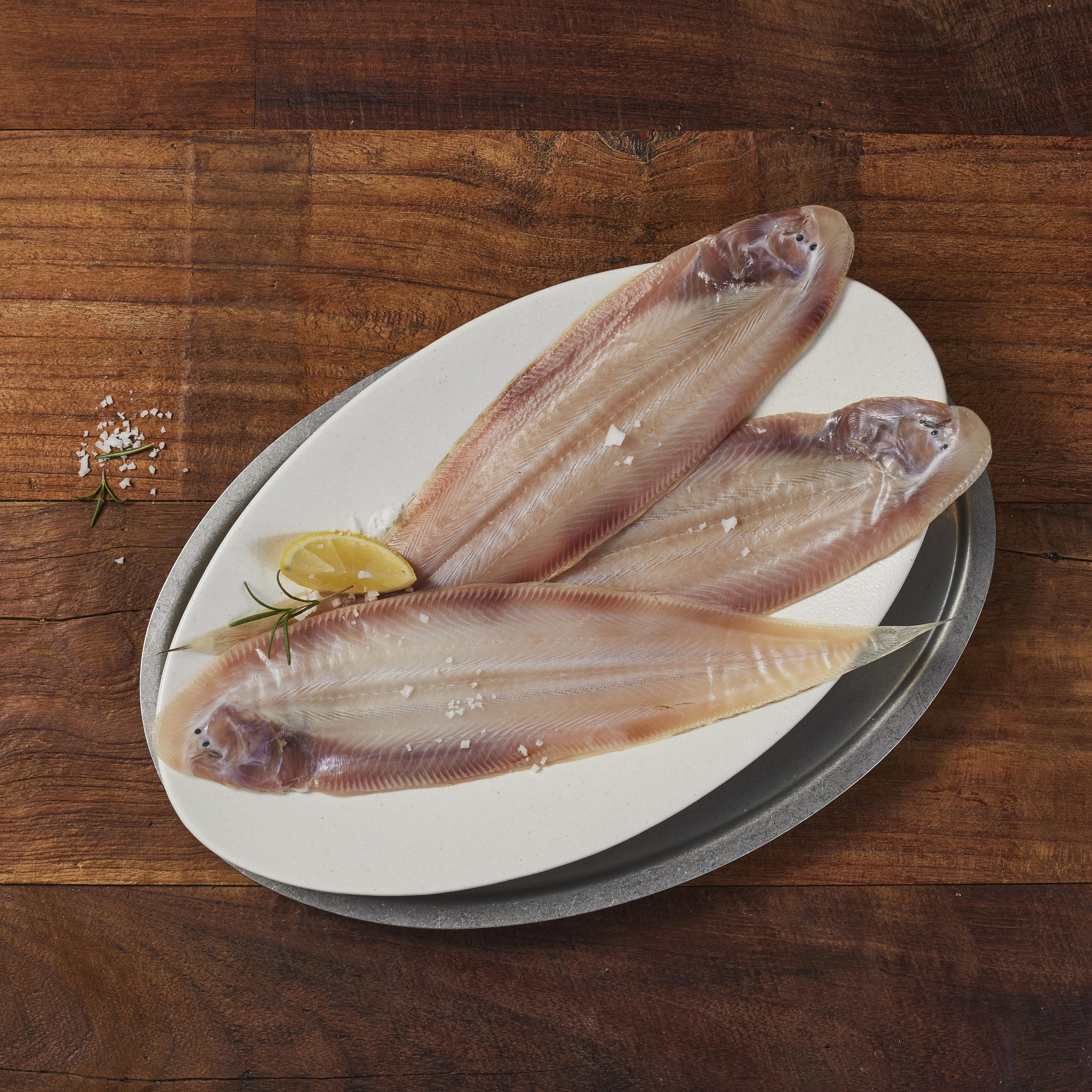 반건조 박대 (중박대/대박대/큰박대)